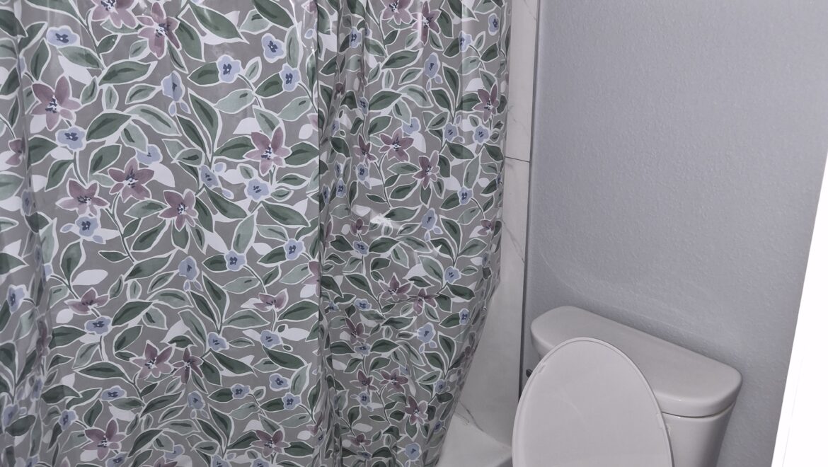 Bathroom Picture